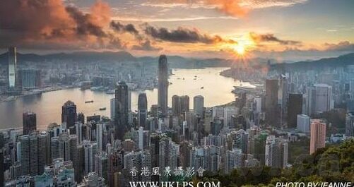 糖心app短视频苹果版-咀嚼视觉盛宴，探索糖心app短视频苹果版的风采